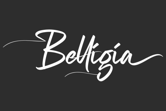 Belligia: A Fashionable Script Handwritten Font for Branding