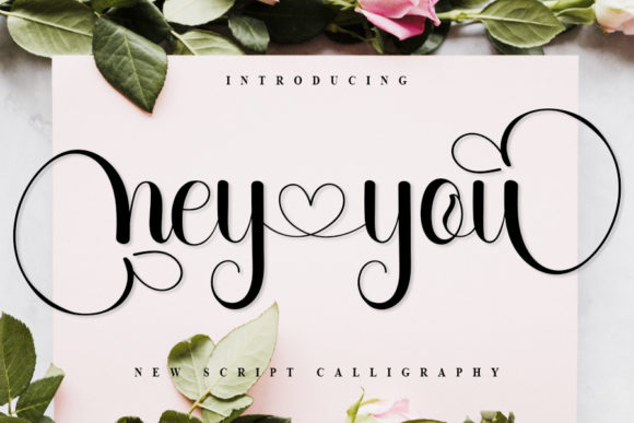 Hey You Script Font for Polished Branding