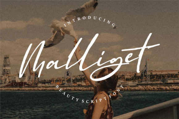 Malliget: A Chic Script Font for Real Branding Moments