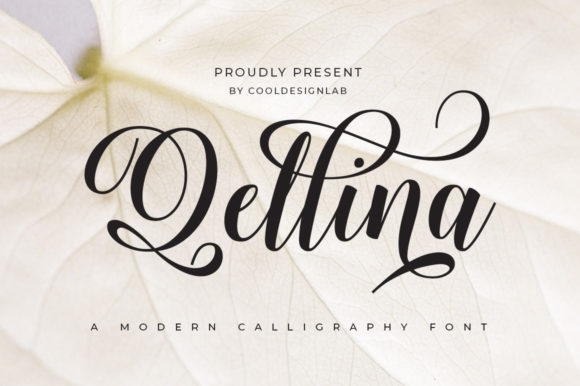 Qellina: A Clean and Chic Script Font for Elegant Digital Design