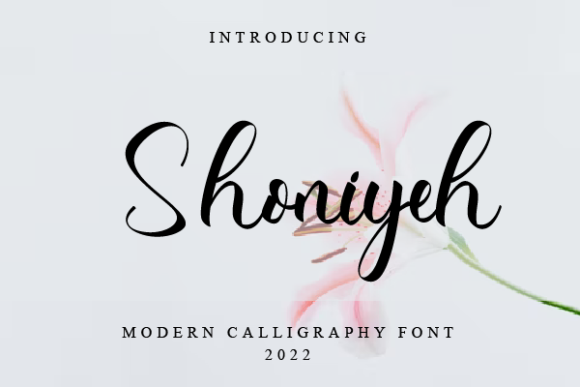 Shoniyeh Script Font for Elegant Handmade Branding