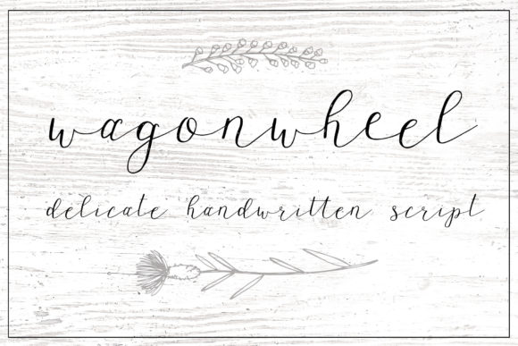 Wagonwheel Font: A Delicate Script Handwritten Typeface for Warm Branding